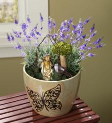 Indoor Fairy Garden Pot